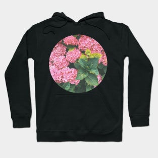 Hydrangea Hoodie